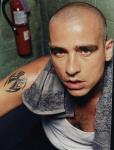 eros-ramazzotti-tattoo-spider.jpg