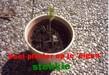 photo stekkie.jpg