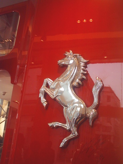 photo cavallino.jpg