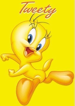 photo Tweety.jpg