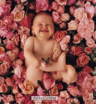 photo annegeddes_baby_roses.jpg